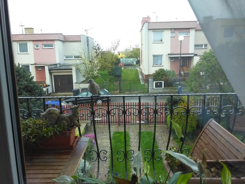Ubytovani Irena Benesov  Buitenkant foto